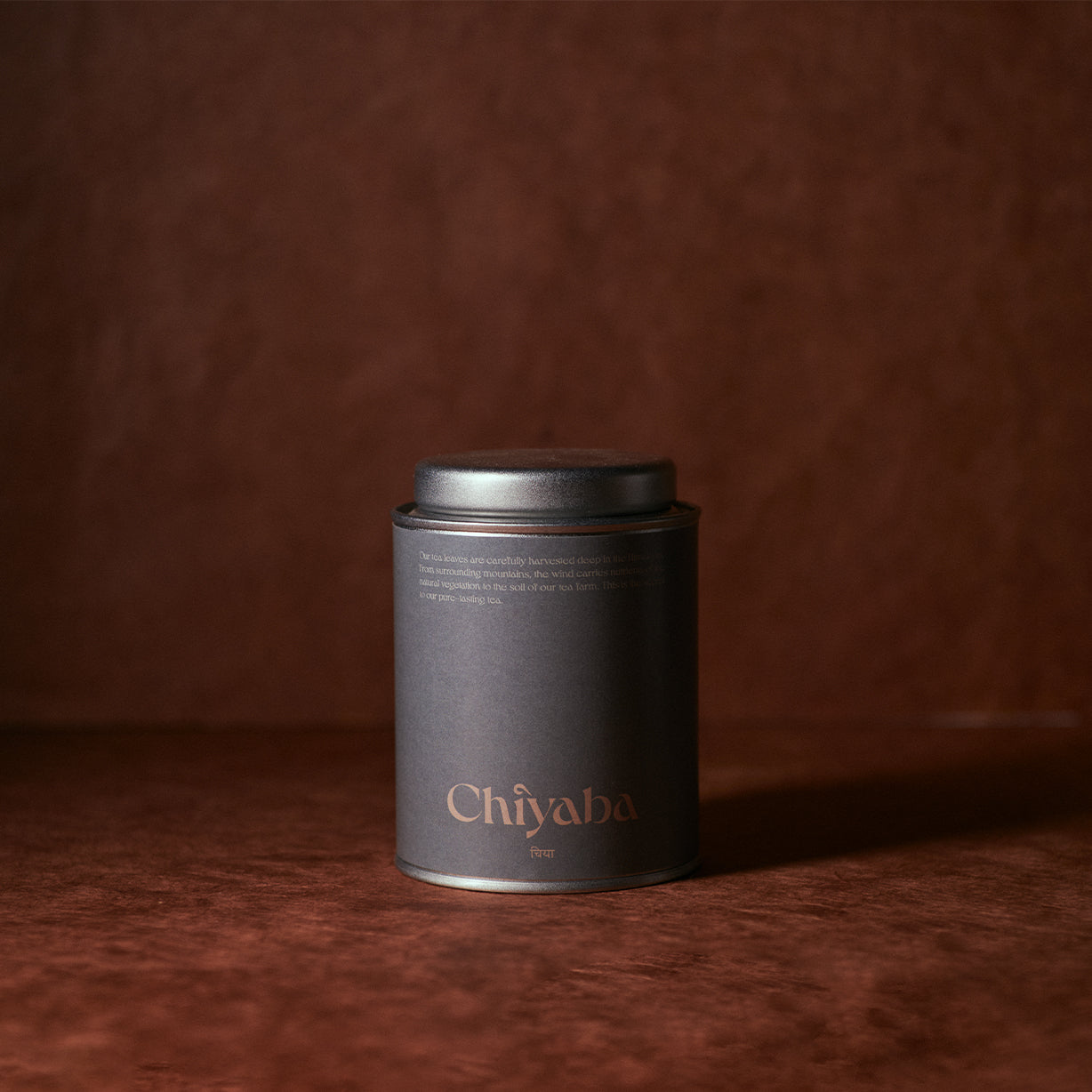 オールドブック 2025 First flush 50g 茶缶入り / Old Book 2025 First flush 50g Tea tin