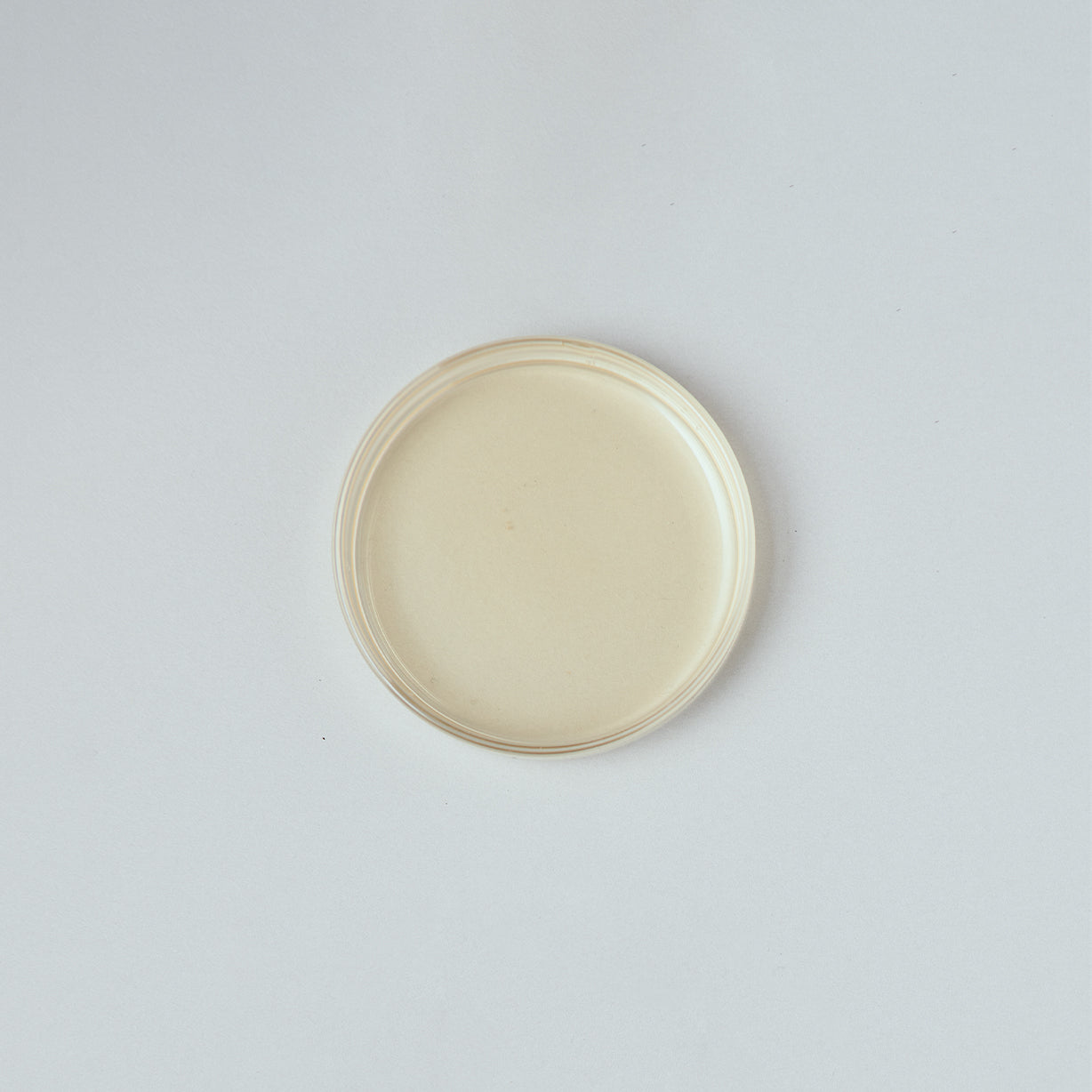ヒマラヤンホワイト 2024 First flush 30g 茶缶入り / Himalayan White 2024 First flush 30g Tea tin