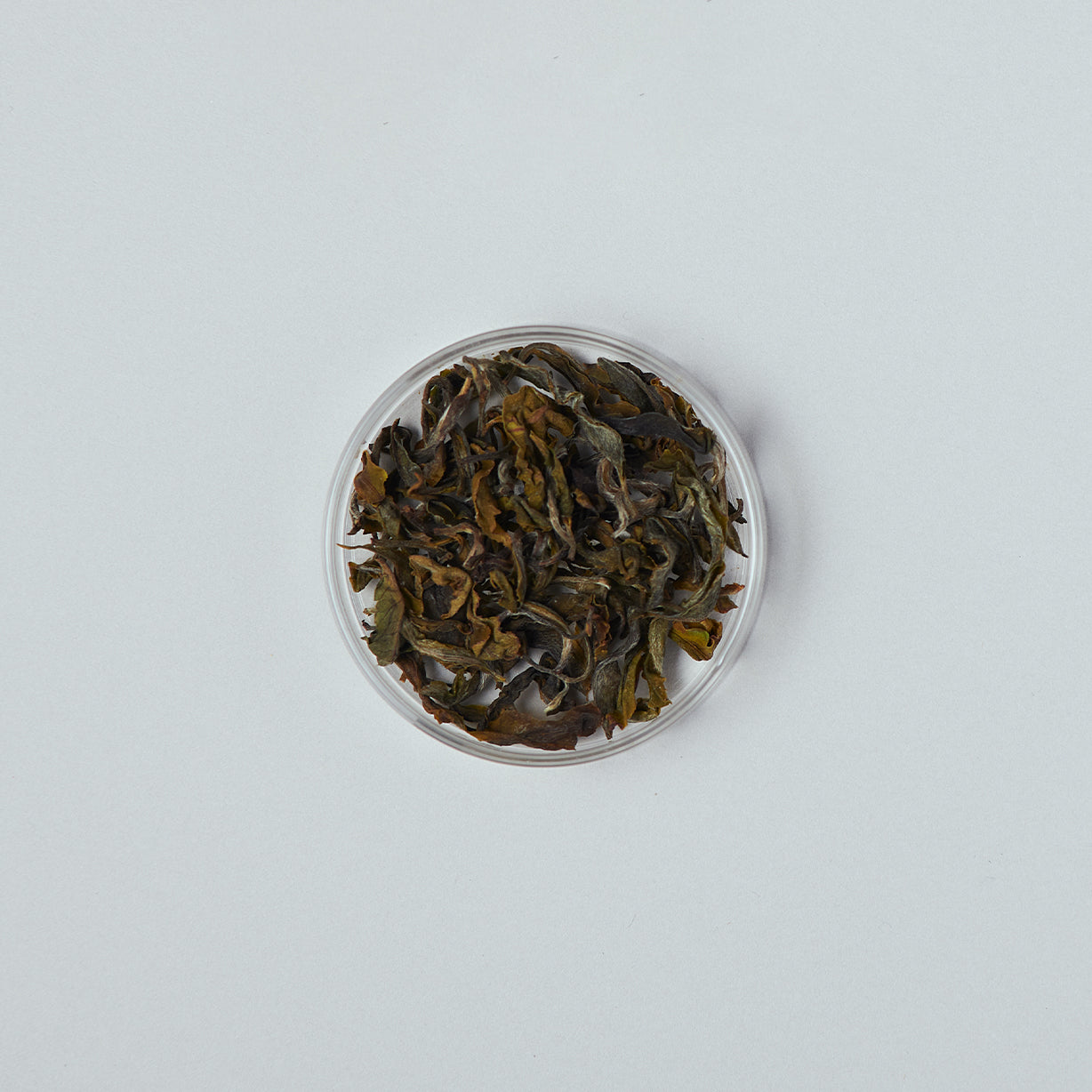 ヒマラヤンホワイト 2024 First flush 30g 茶缶入り / Himalayan White 2024 First flush 30g Tea tin