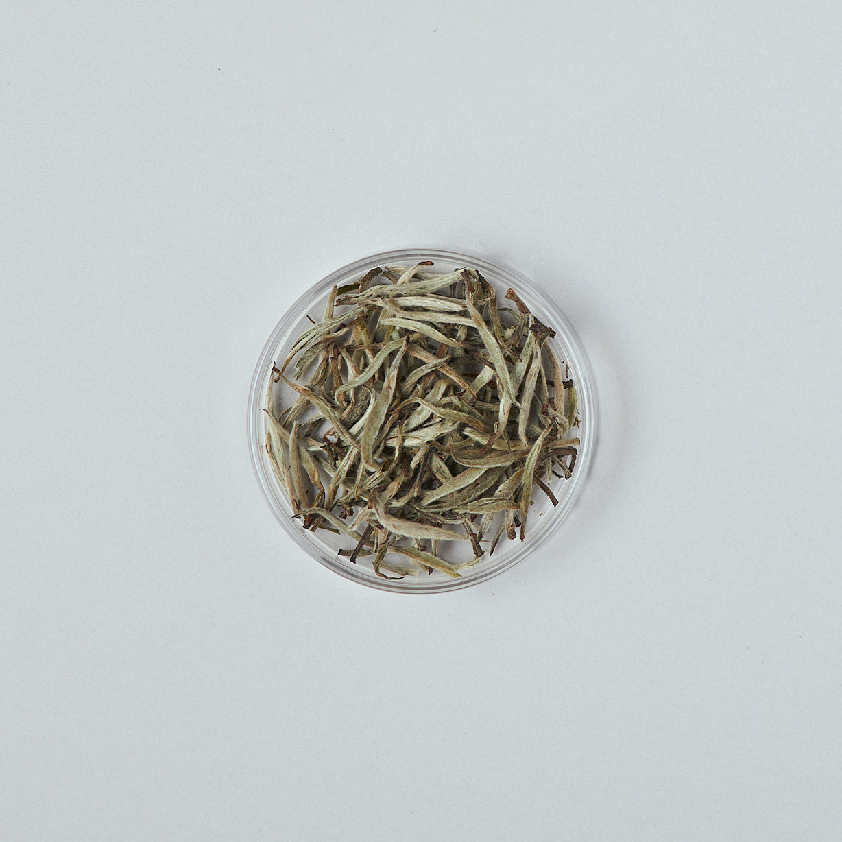 ヒマラヤンシルバーニードル 2025 First flush 30g 茶缶入り / Himalayan Silver Needle 2025 First flush 30g Tea tin