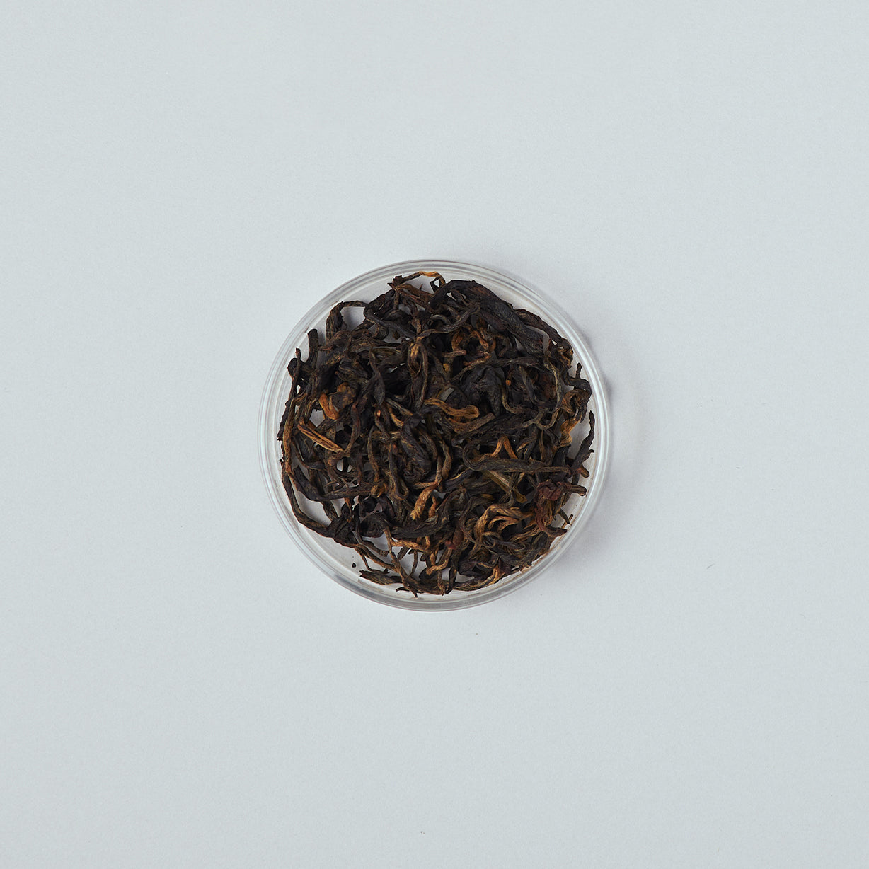 ゴールデンサン 2025 First flush 50g 茶缶入り / Golden Sun 2025 First flush 50g Tea tin