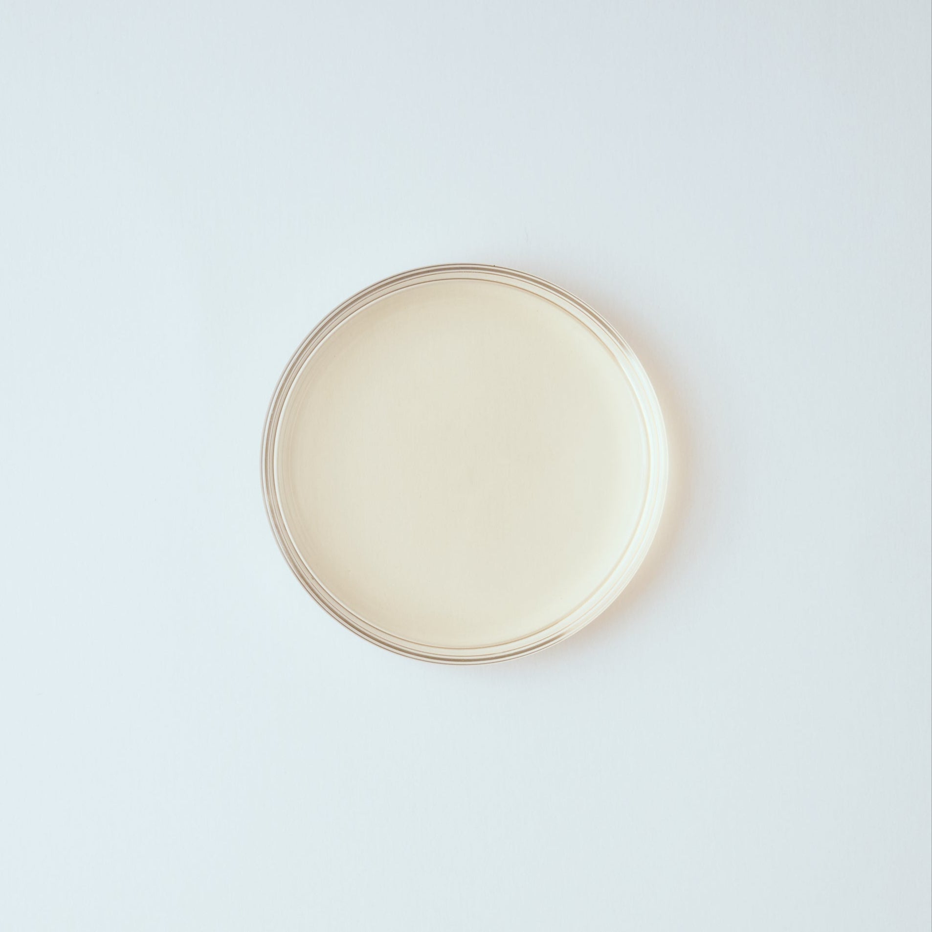 シャンティ "Brittni Bell Warshaw" 限定コラボ茶缶 21g入り Type C / Shanti "Brittni Bell Warshaw" Collab Tea tin 21g Type C
