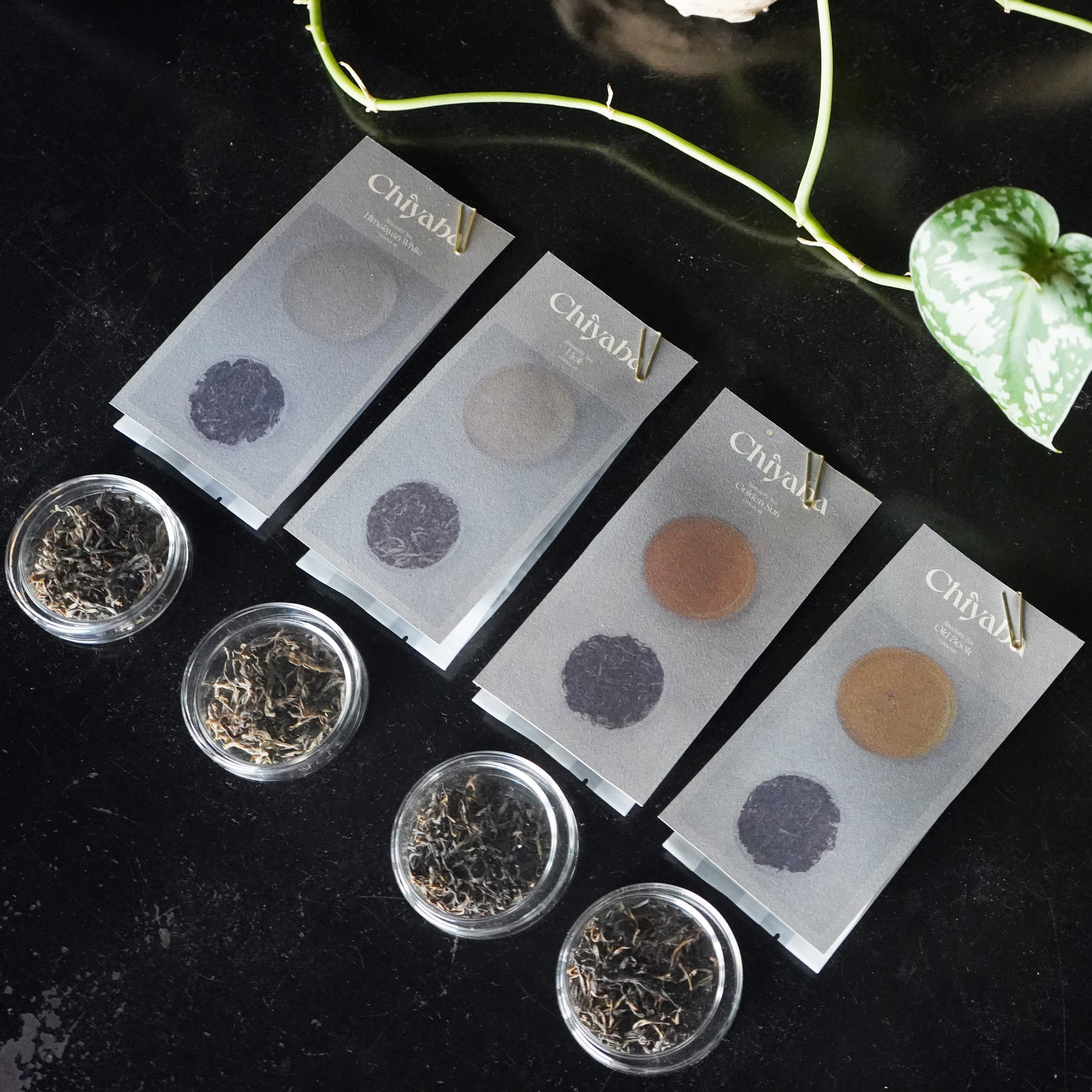 コールドブリューアソートパックセット/ Cold Brew Tea Assorted Set